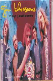 Gin Blossoms, Hey Jealousy, Cassette Tape A&M Records