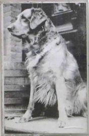 Beastie Boys, Some Old Bullshit Cassette