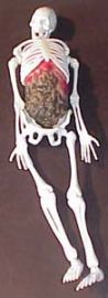 Rubber Skeleton figurine