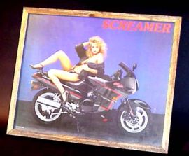 PINUP BABY ON KAWASAKI Ninja in Frame