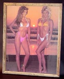 PINUP BATHING BEAUTIES PICTURE In Frame