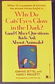 WHY DO CAT'S EYES GLOW IN THE DARK? (& questions kids ask about 