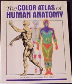 THE COLOR ATLAS OF HUMAN ANATOMY