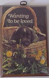 Puppy Plaque - Wanting To Be Loved