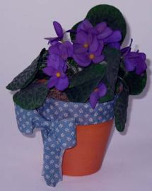 AFRICAN VIOLET IN POT DECORATION
