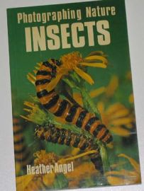PHOTOGRAPHING NATURE: INSECTS
