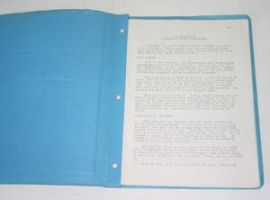 SPECULATION IN COMMERCIAL RECORD PHOTOGRAPHY