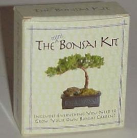 THE MINI BONSAI KIT